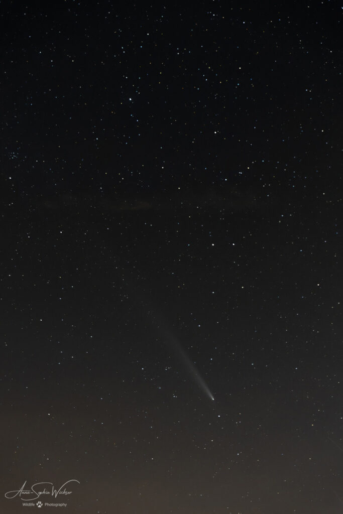 Comète Tsuchinshan-Atlas, un dernier coup d'oeil avant son retour dans peut-être 80'000 ans (environ)