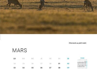 2025 Calendar - March