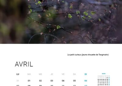 2025 Calendar - April