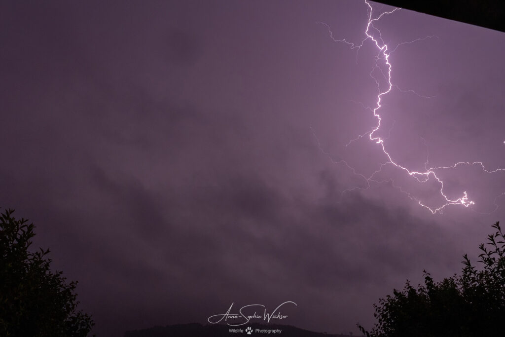 Orages du 29.06.2024 dans le sud du canton de Fribourg, Suisse