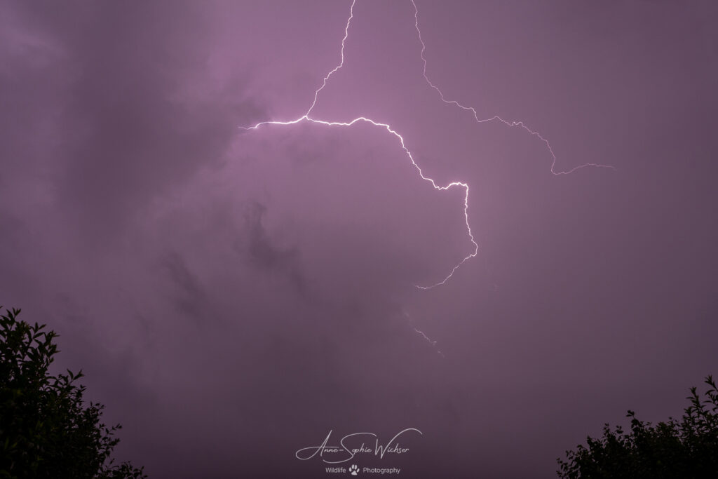 Ambiance électrique (Suisse, Juin 2024)