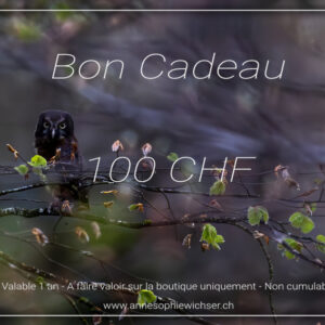 Bon cadeau - 100 CHF