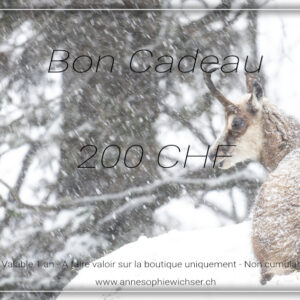Bon cadeau - 200 CHF