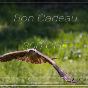 Bon cadeau - 300 CHF
