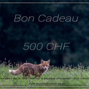 Bon cadeau - 500 CHF