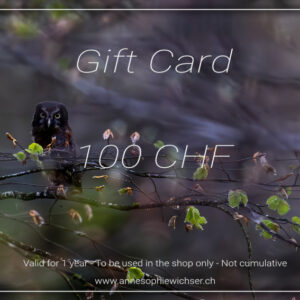 Gift Card - 50 CHF