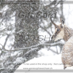 Gift Card - 200 CHF