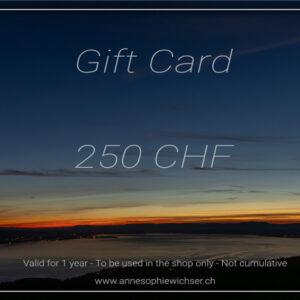 Gift Card - 250 CHF