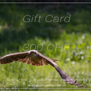 Gift Card - 300 CHF