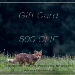 Gift Card - 500 CHF