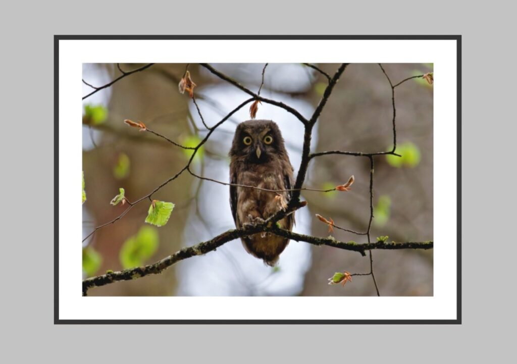 Art Print - Classic Frame - Example