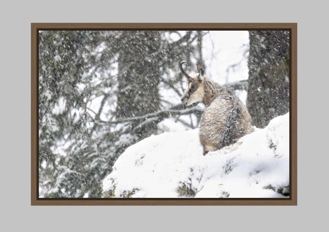 Art Print - Floated Frame - Example