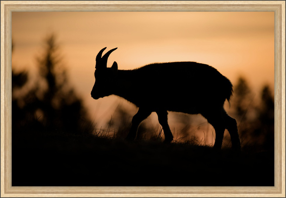 Art Print in a floated frame