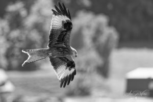 Between two breaths of wind