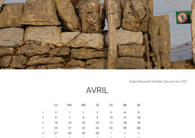 Calendar 2026 - April - Anne-Sophie Wichser Wildlife Photography