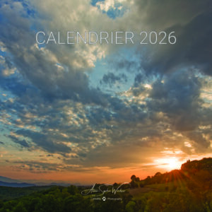 Calendar 2026 - Anne-Sophie Wichser Wildlife Photography