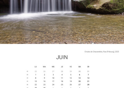 Calendar 2026 - June - Anne-Sophie Wichser Wildlife Photography