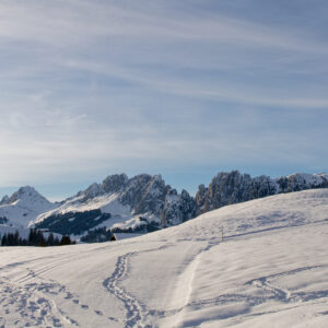 Postcard - Winter Gastlosen - Anne-Sophie Wichser Wildlife Photography