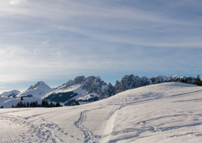 Postcard - Winter Gastlosen - Anne-Sophie Wichser Wildlife Photography
