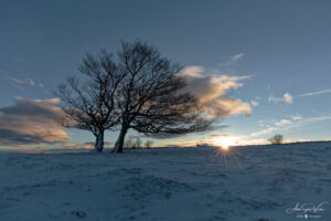 Sunshine lights at Creux-du-Van