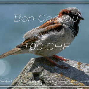 Bon Cadeau - 100 CHF