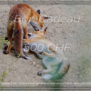 Bon Cadeau - 500 CHF