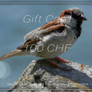 Gift Card - 100 CHF