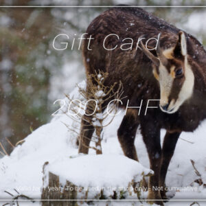 Gift Card - 200 CHF