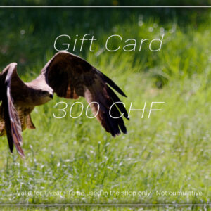 Gift Card - 300 CHF