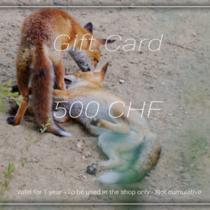 Gift Card - 500 CHF