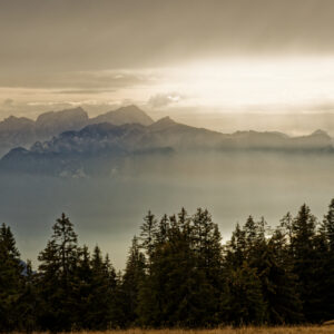 Unlimited Print - Autumn 2