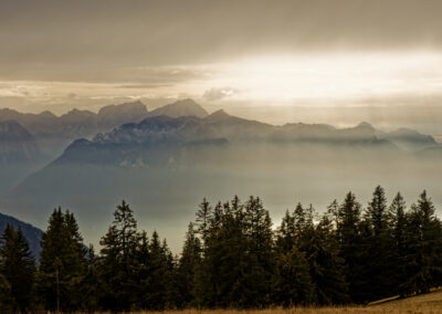 Tirage illimité - Automne 2