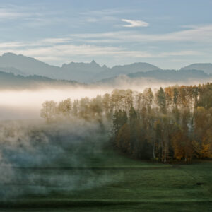 Unlimited Print - Autumn 1