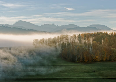 Unlimited Print - Autumn 1