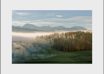 Unlimited Print - Autumn 1