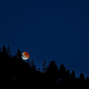 Unlimited Print - Moon 2