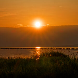 Unlimited Print - Sunset 1