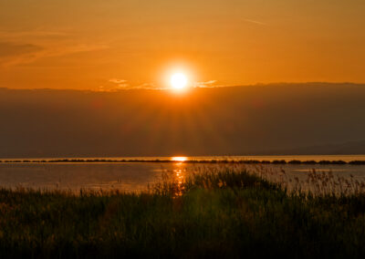 Unlimited Print - Sunset 1