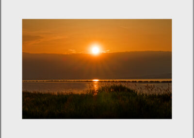 Unlimited Print - Sunset 1