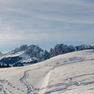 Postcard - Gastlosen