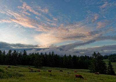 Carte postale - Coucher de soleil 1