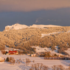 Postcard - Swiss Alps 1